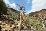 IMG_5229 Wadi Dirhur, Socotra